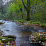 Il fiume Orfento