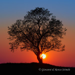 Tramonto murgiano