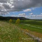 La campagna di Gravina di Puglia