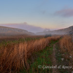 Nella gravina all'alba