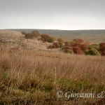 La Murgia in autunno