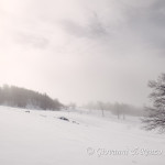 Un bagliore nella nebbia