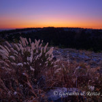 L'ora blu al Pulicchio di Gravina