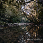 Riflessi nel torrente Acquacheta