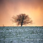 Tramonto invernale