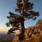 Loricato al tramonto