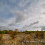 Autunno in Alta Murgia