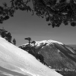 Serra del Prete dalla Cresta Nord di Monte Pollino