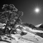 I gendarmi dei Piani di Pollino protesi verso il sole che illumina la Serra Dolcedorme