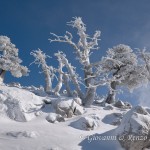 Composizione glaciale