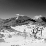 Panorama dalla vetta di Serra delle Ciavole