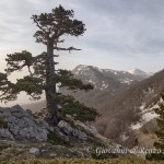 Panorama senza tempo