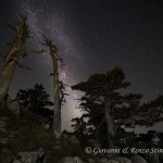 La Via Lattea ed i Loricati del Giardino degli Dei