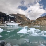 Piccoli iceberg nel lago ai piedi del Ghiacciaio Fellaria